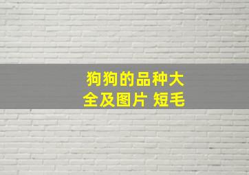 狗狗的品种大全及图片 短毛